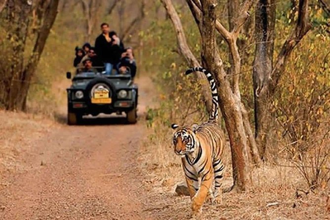 Sariska